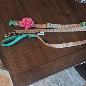 Colorful Leash & Collar Set NEW